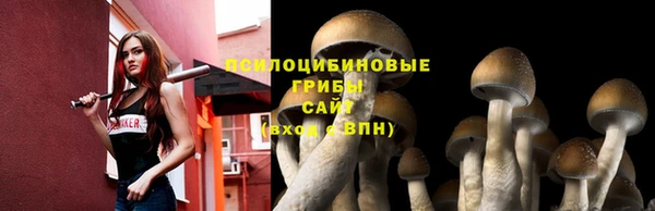 кристаллы Бородино