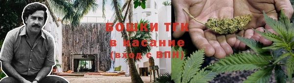 ALPHA PVP Богородицк