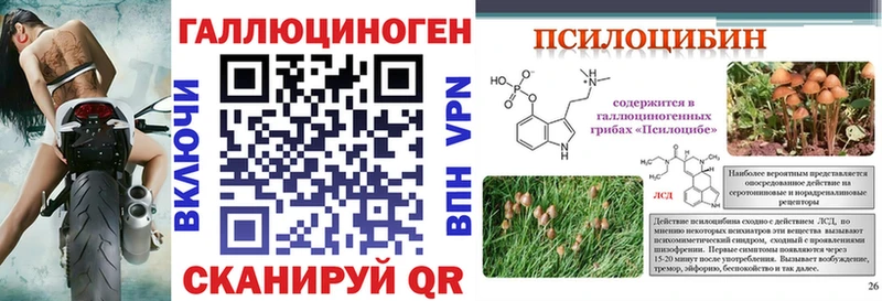 Галлюциногенные грибы Magic Shrooms  Купить закладки  Курлово 